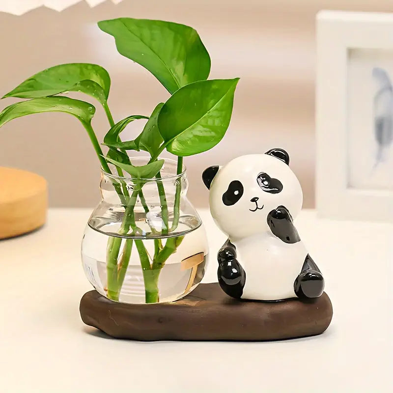 Plant growing in water only