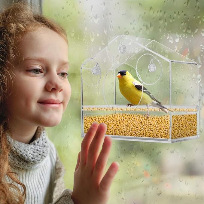 ClearView Joyful Outdoor Bird Feeding Nest