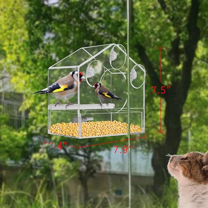 ClearView Joyful Outdoor Bird Feeding Nest
