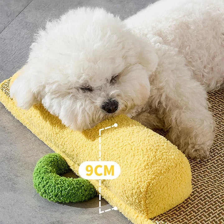 Cozy Comfort Rattan Pet Bed