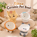 Tilted Ceramic Pet Bowl