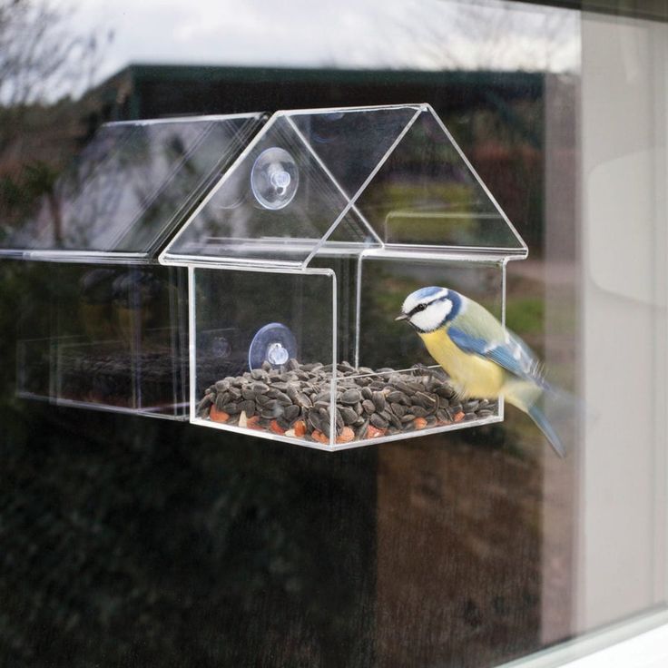 ClearView Joyful Outdoor Bird Feeding Nest