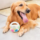 Playful Paws Colorful Pet Ball