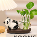 Cartoon Panda Hydroponic Plant Vase