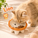 Tilted Ceramic Pet Bowl