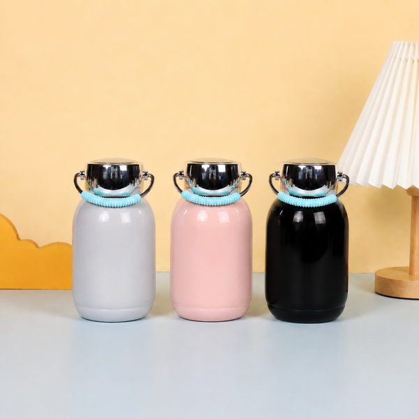 Stylish Leak Proof Water Bottle