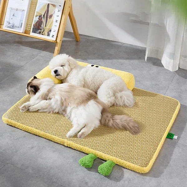 Cozy Comfort Rattan Pet Bed