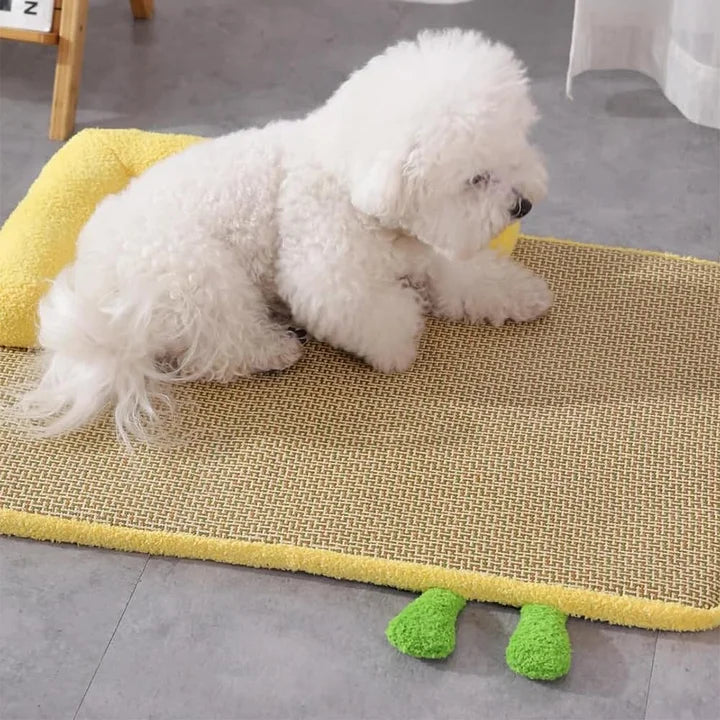 Cozy Comfort Rattan Pet Bed