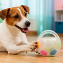 Playful Paws Colorful Pet Ball