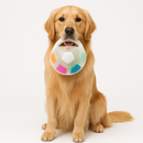 Playful Paws Colorful Pet Ball