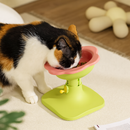 Pet Bloom Floral Feeding Bowl