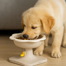 Pet Bloom Floral Feeding Bowl
