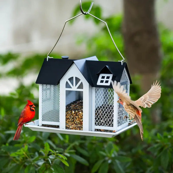 Bird Haven Outdoor Feeder House